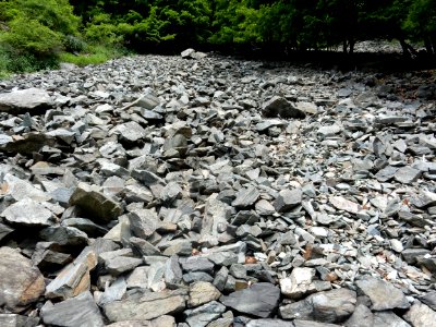 DSCN0047