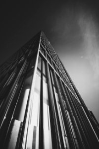 mono Processing monday