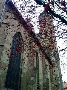 Göttingen November 2011