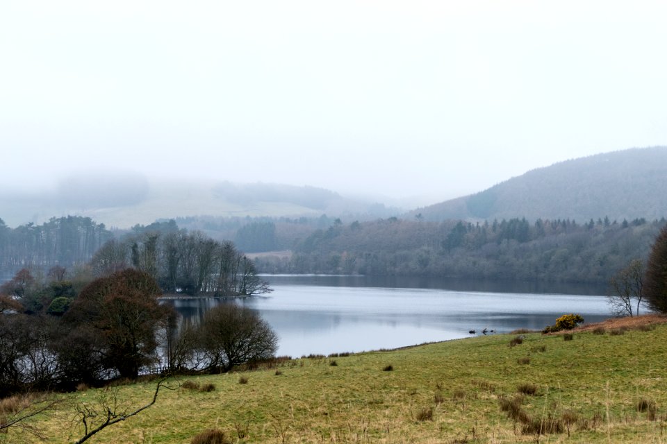 Heron Isle in Loch Crindil