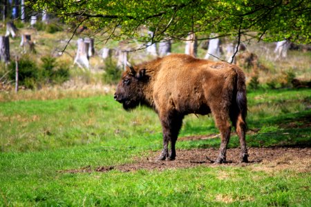 Sauerland im   Mai 2015