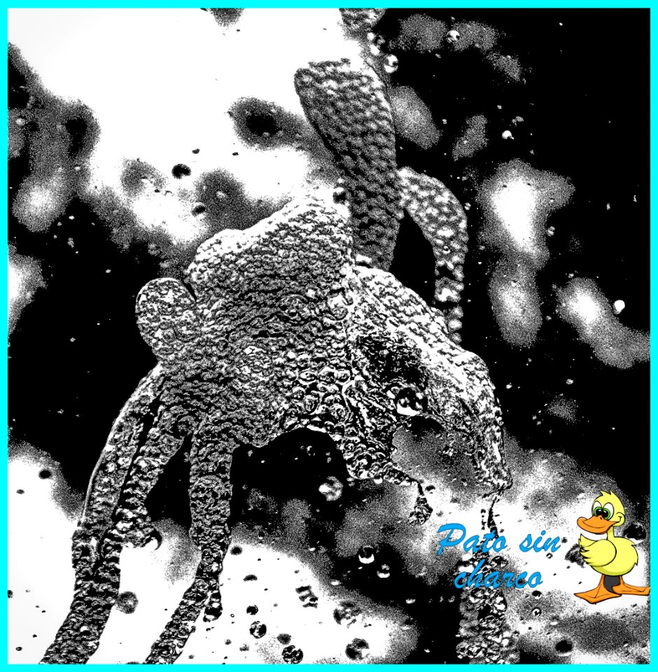 Fantasias de una gota de agua
