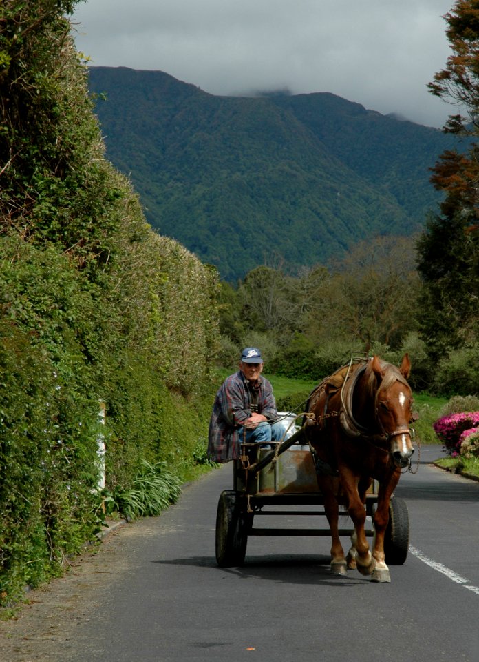 Farmer returning home