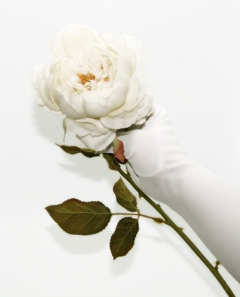 Rose fake artificial