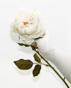 Rose fake artificial photo