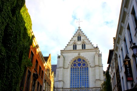 Die letzten Sonnenstrahlen in Antwerpen 2