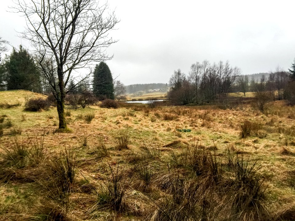 Near Earshaig Lake