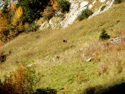 ulm svycarsko 10 2015 036