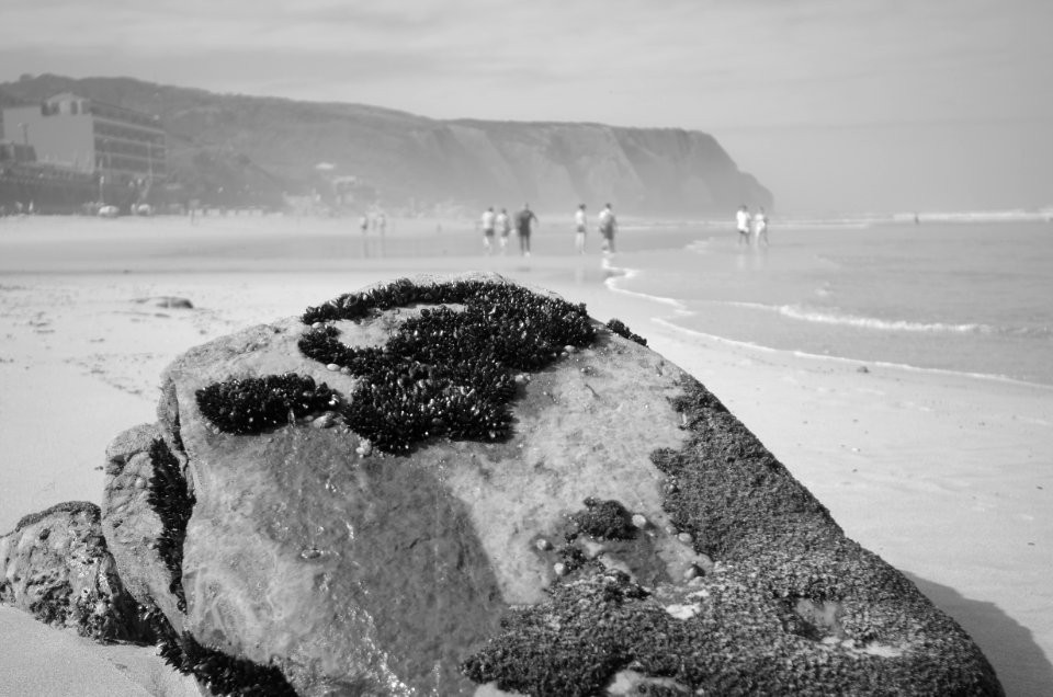  DSC1969