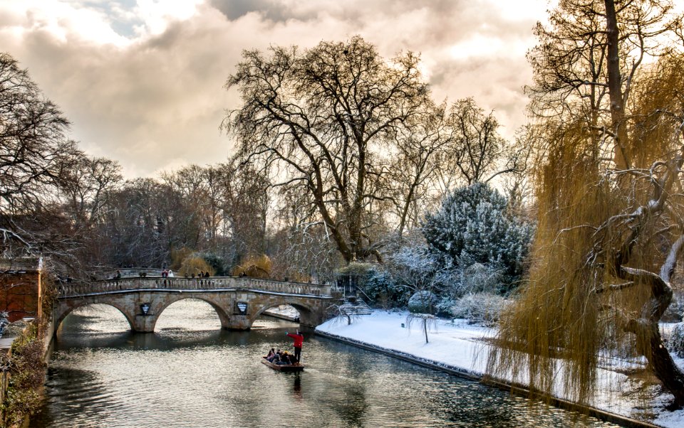 Attenborough’s Winter Garden