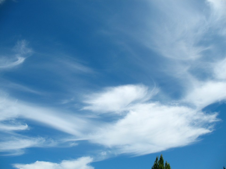 Painted Sky
