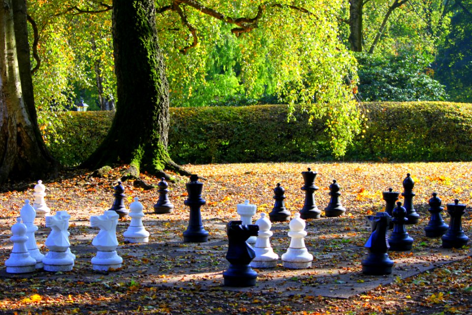 'Ne Runde Schach? Gräflicher Park Bad Driburg Oktober 2015