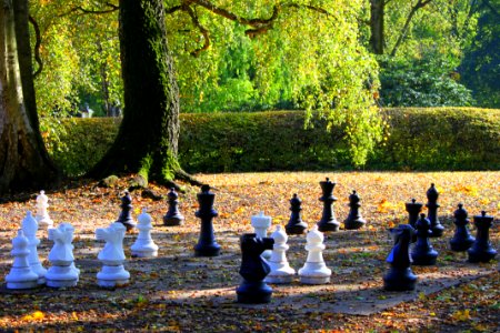 'Ne Runde Schach? Gräflicher Park Bad Driburg Oktober 2015