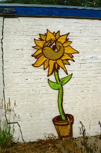 Counting flowers on the wall..