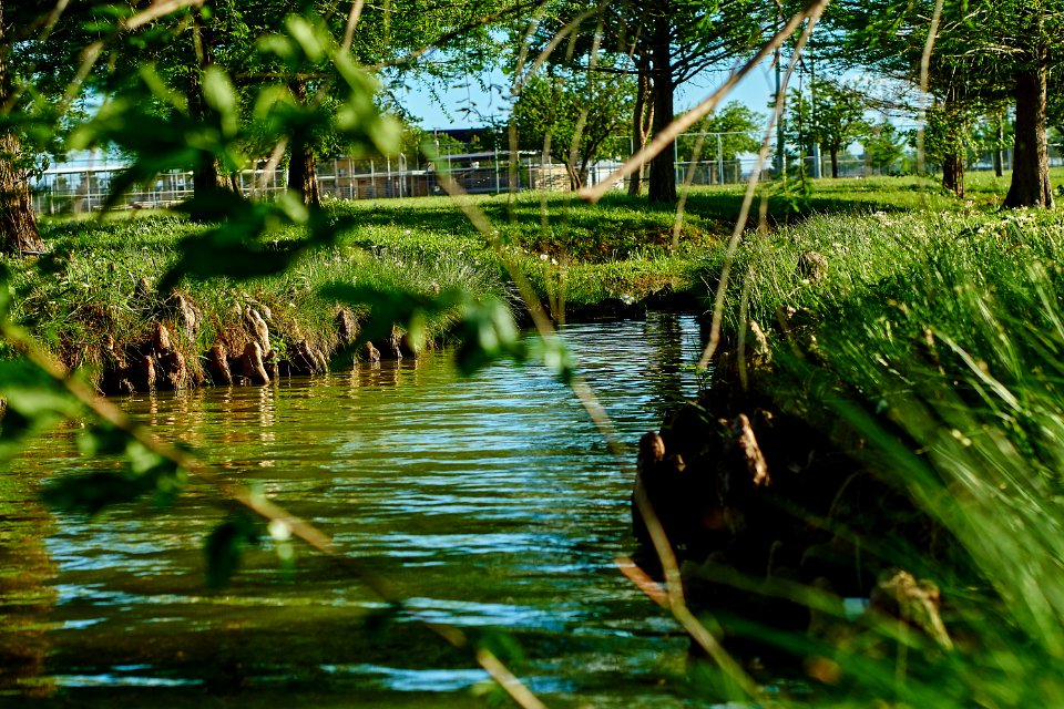 Tiny stream from the lake