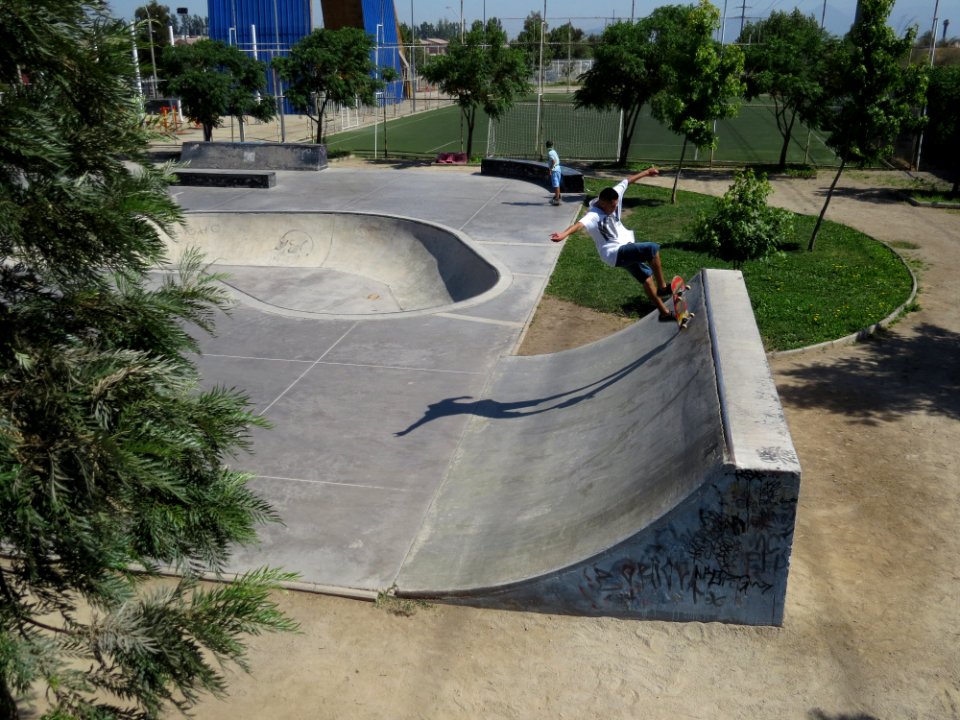 IMG 5356