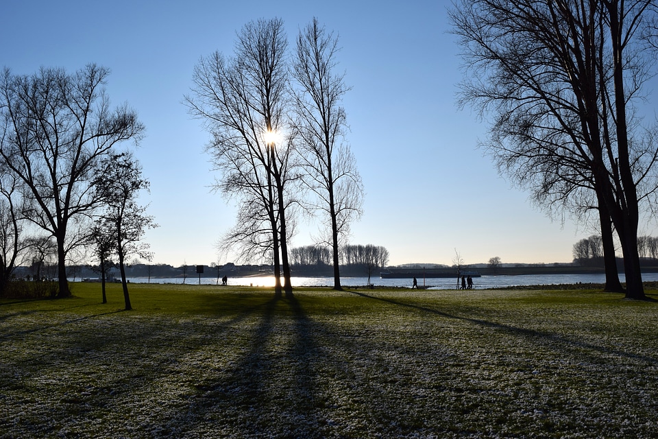 Nature silhouette shadow
