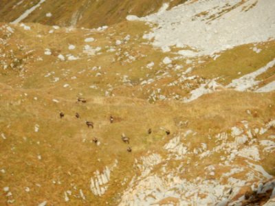 ulm svycarsko 10 2015 092
