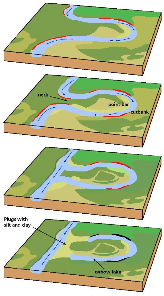 Meandering Stream Evolution