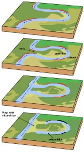 Meandering Stream Evolution