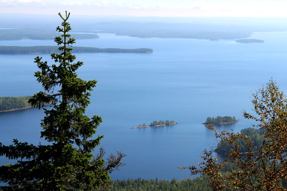 Koli, Finland photo