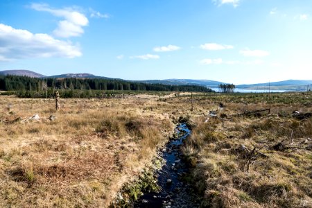 Looking back towards Clatteringshaws on Southern Upland Way