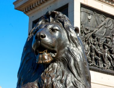 Bronze lion head photo