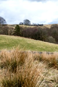 Buildings near Ardoch Farm
