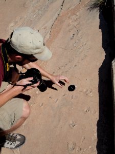 Taking photos
