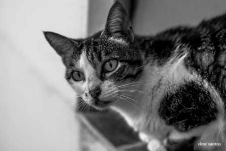 DSC 5194