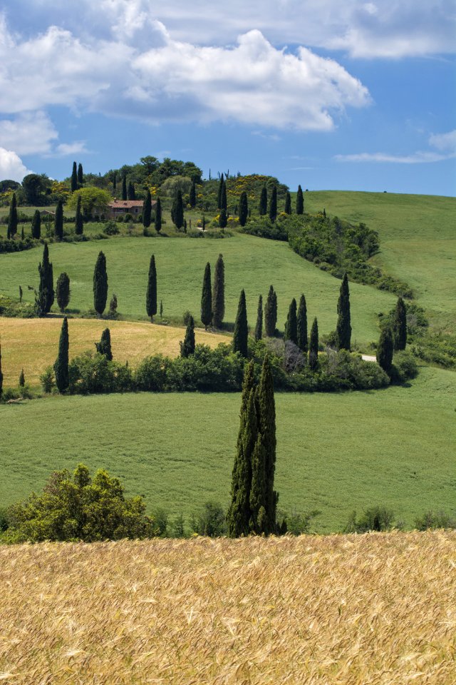 Val d'Orcia
