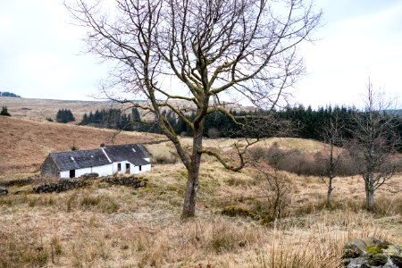 Brattleburn Bothy