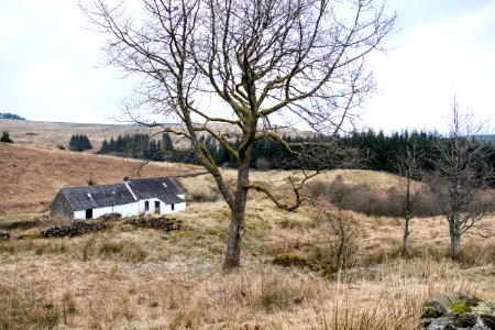 Brattleburn Bothy photo