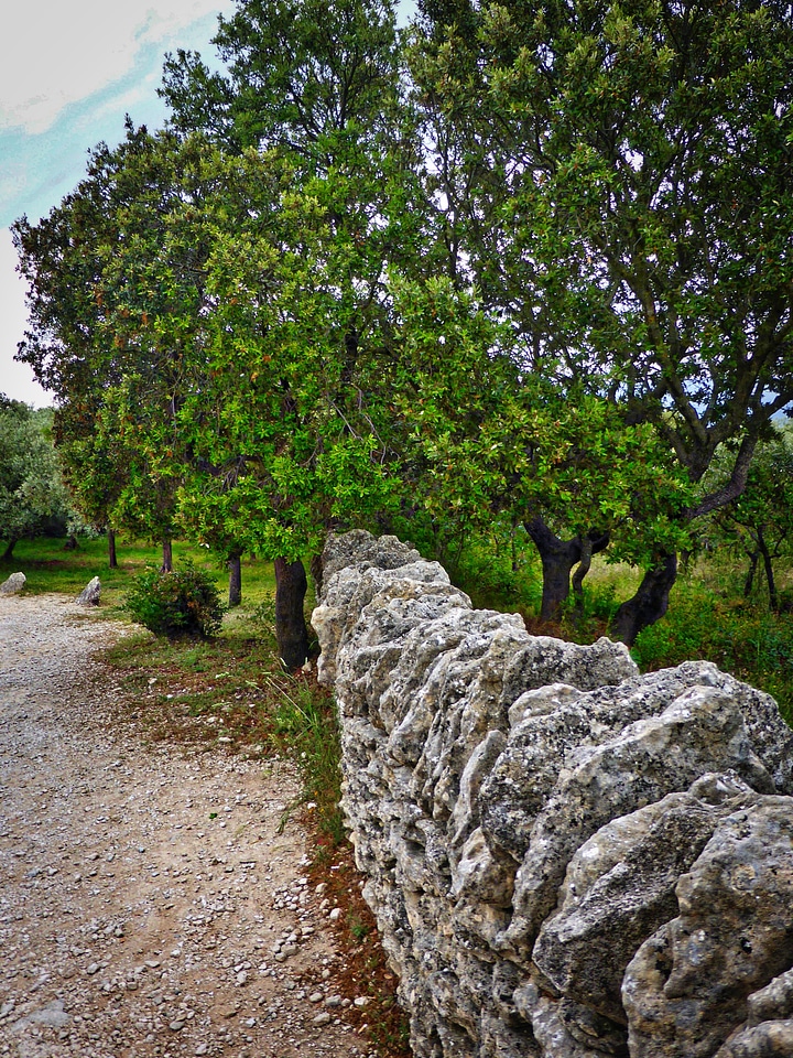 Weathered stone wall rough