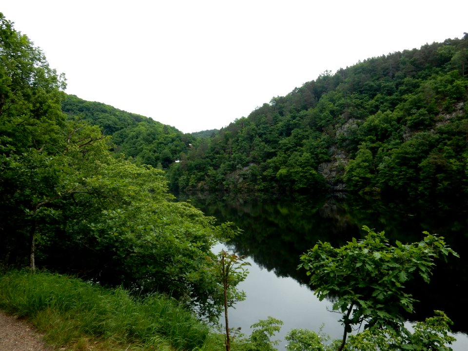 DSCN0029
