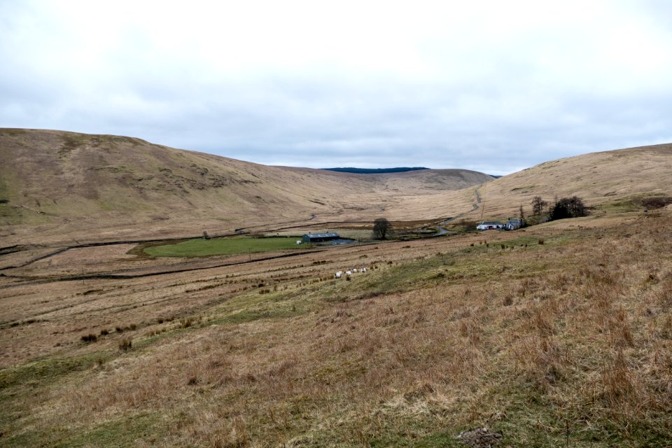 Dalgonar Farm
