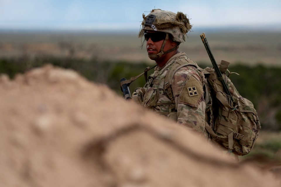 4-9 IN battalion squad situational tactical training