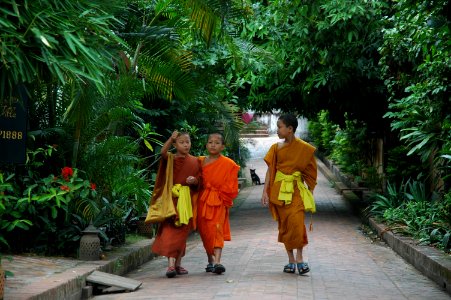 Going to school photo