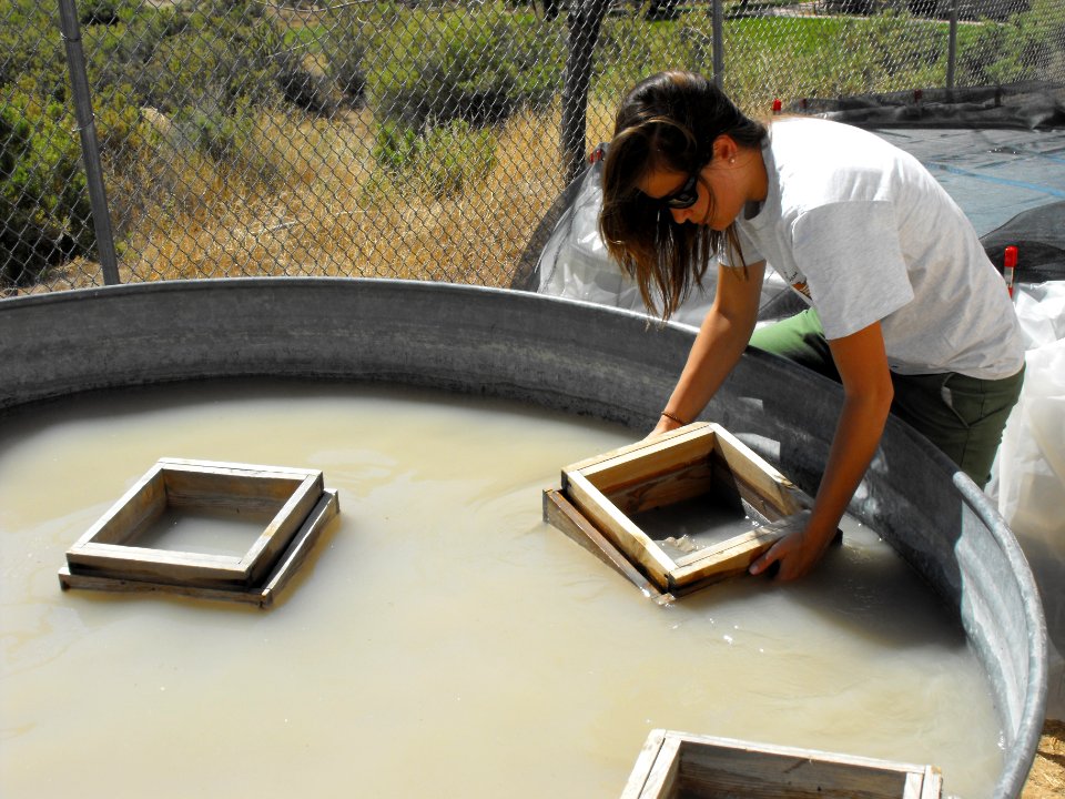 Screenwashing