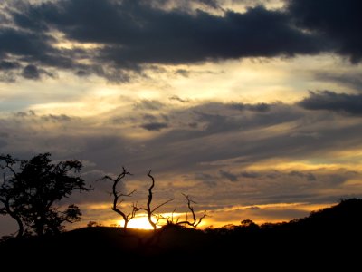 Minas Gerais