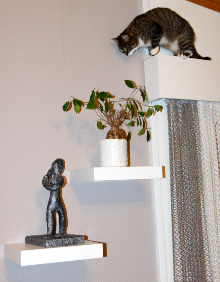 Home Decoration