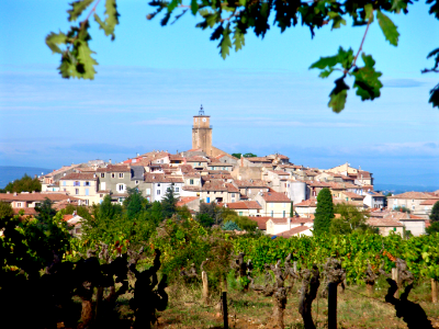 Vineyard in Sablet village, Vaucluse, France