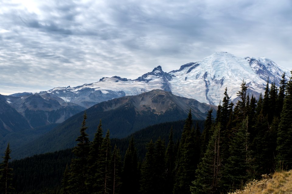 Rainier from Sunrise Point