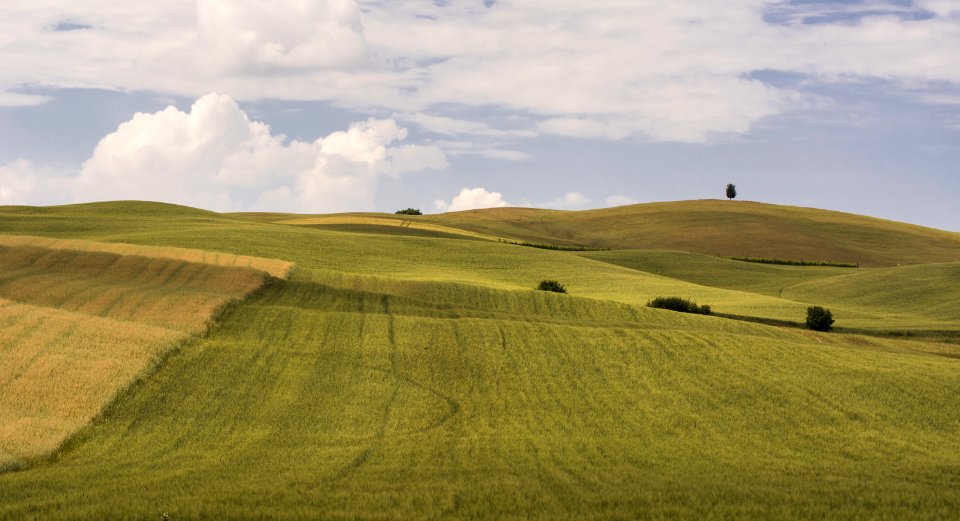 Val d'Orcia photo