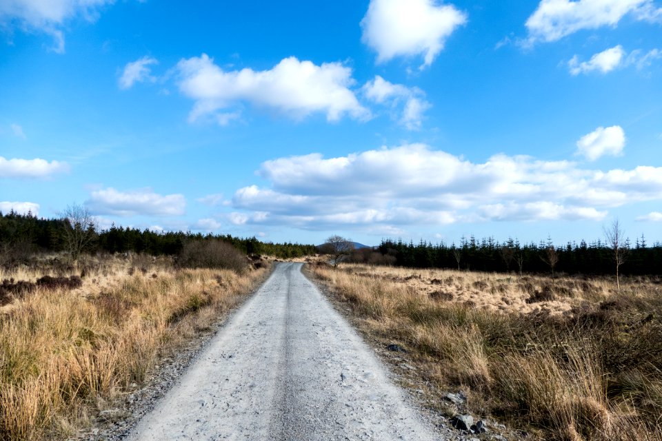 Southern Upland Way towards Clatteringshaws