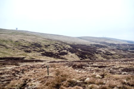 Lowther Hill from Cold Moss