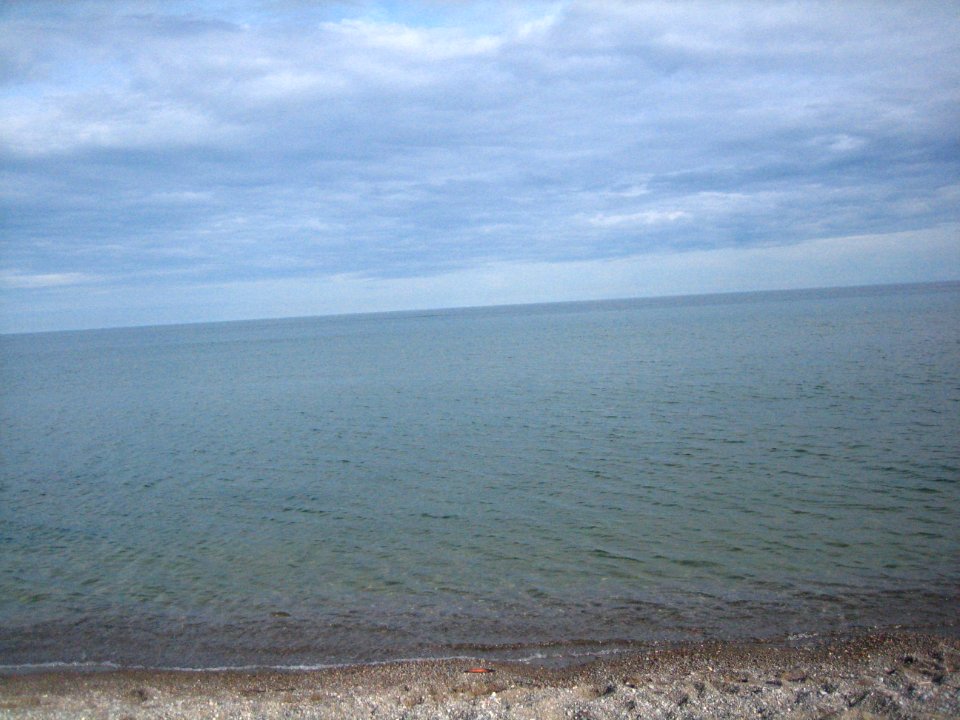 Crooked Beach Photo