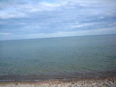 Crooked Beach Photo