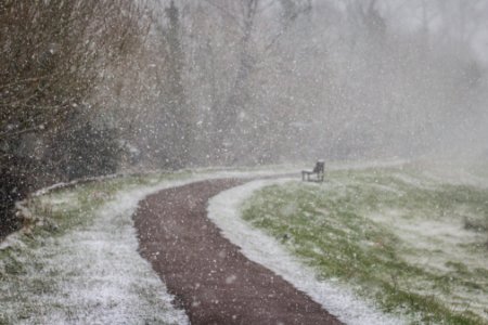 Winter Stroll