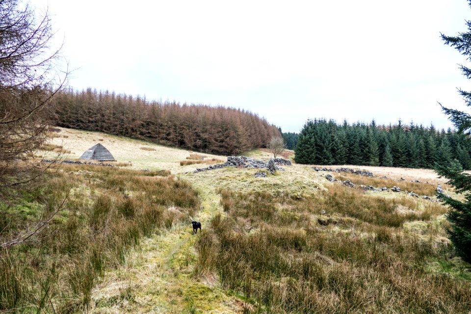 Approaching Beehive Bothy at Laggangarn on Southern Upland Way
